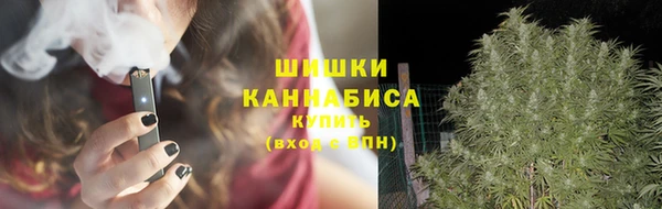 мдпв Навашино